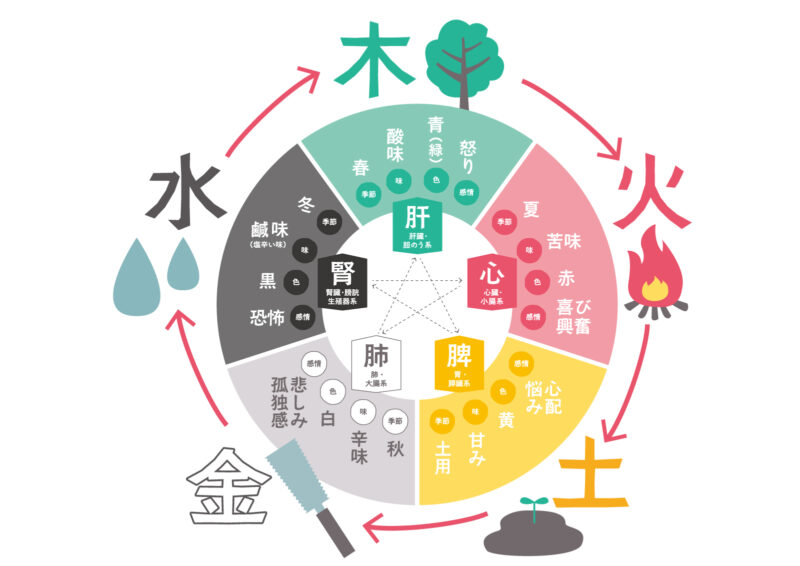 東洋医学の五行思想