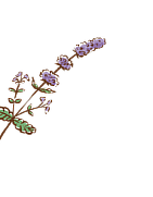 三愛治療院の様子